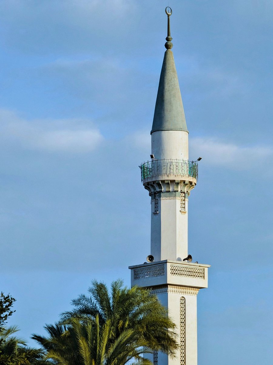 A7mdMustfa's tweet photo. عيد من الدور التاسع في السويس.
الفجر. قبل الصلاة.
الشمس طالعة ورا المآذن.
الحمام قاعد على المواسير.
والطعمية بتتقلي في الشارع.
عيد سعيد عليكم 🌅🤲
📸 كام لقطة من يوم العيد ↓ https://t.co/t4J1wPwZKR