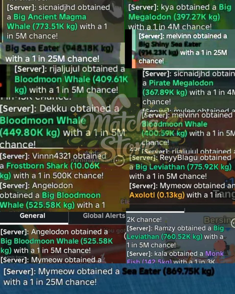 🐈‍⬛🐈, fastresp wa di bio ia tweet media