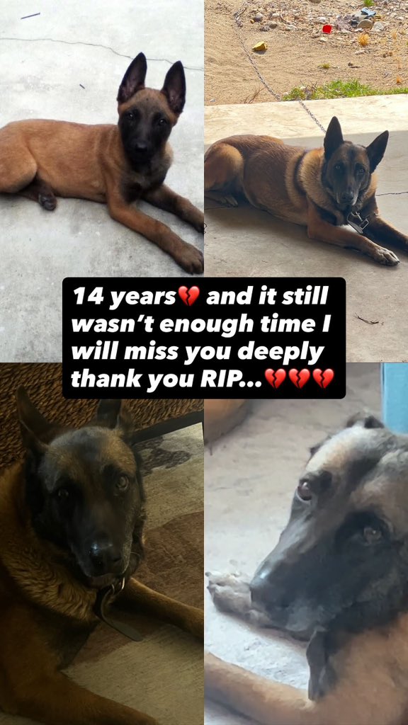 💔💔💔
