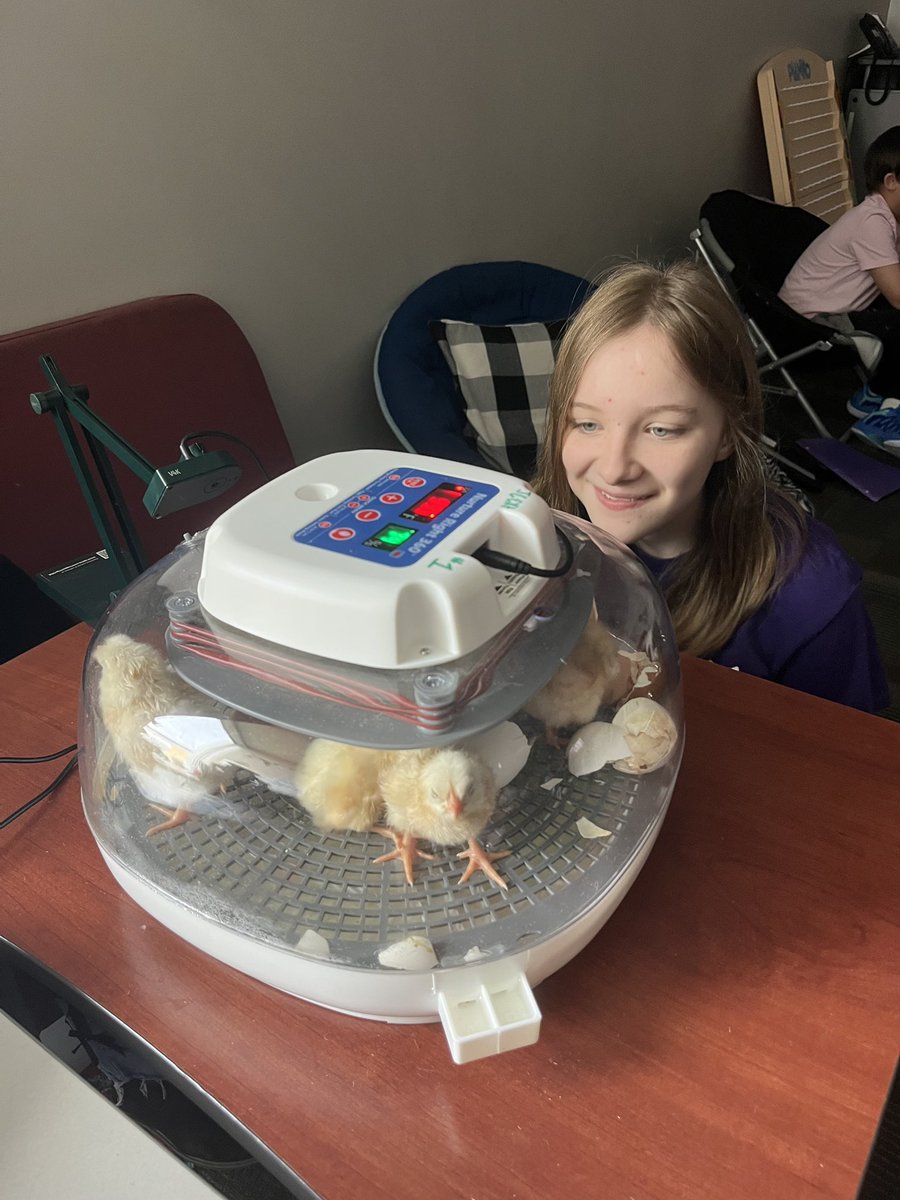 Greenwood Middle School tweet media