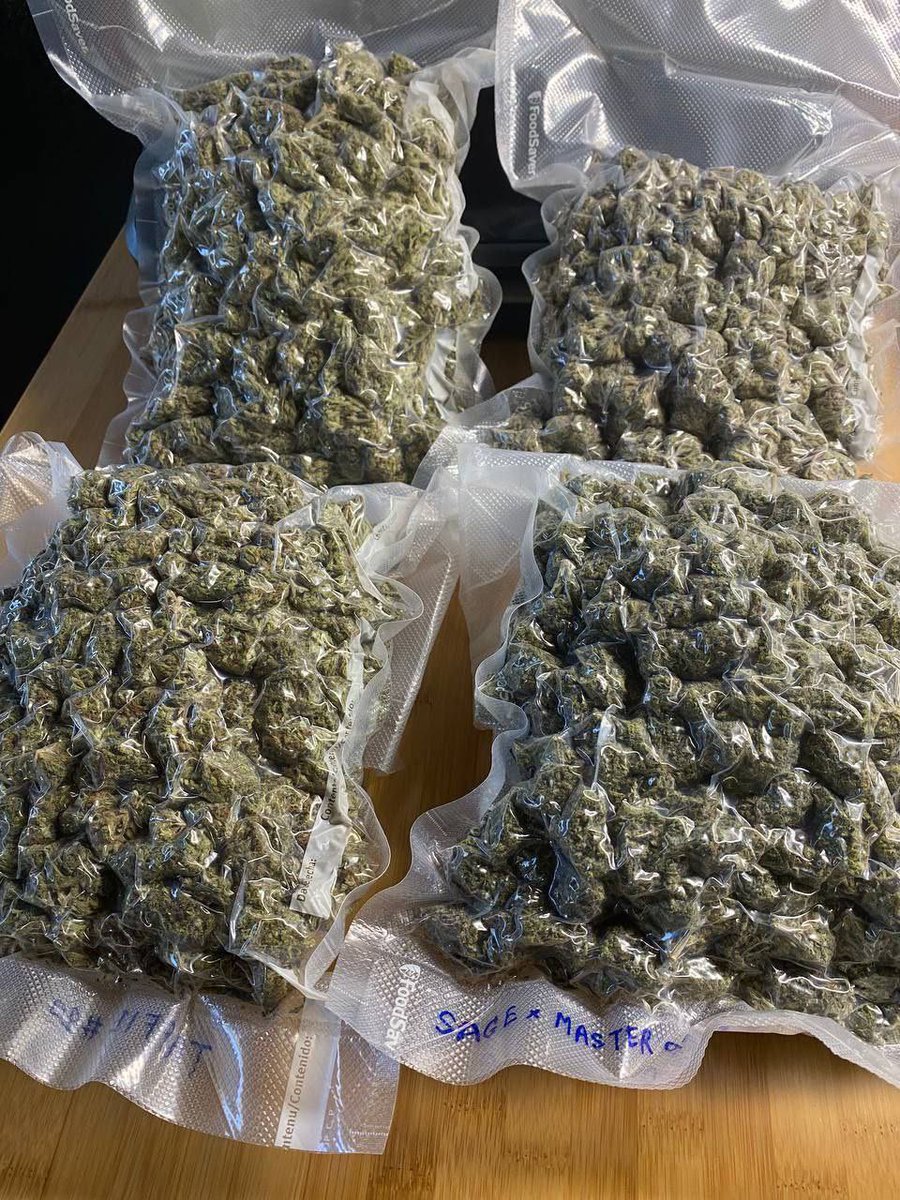 SONIC BUDS tweet media