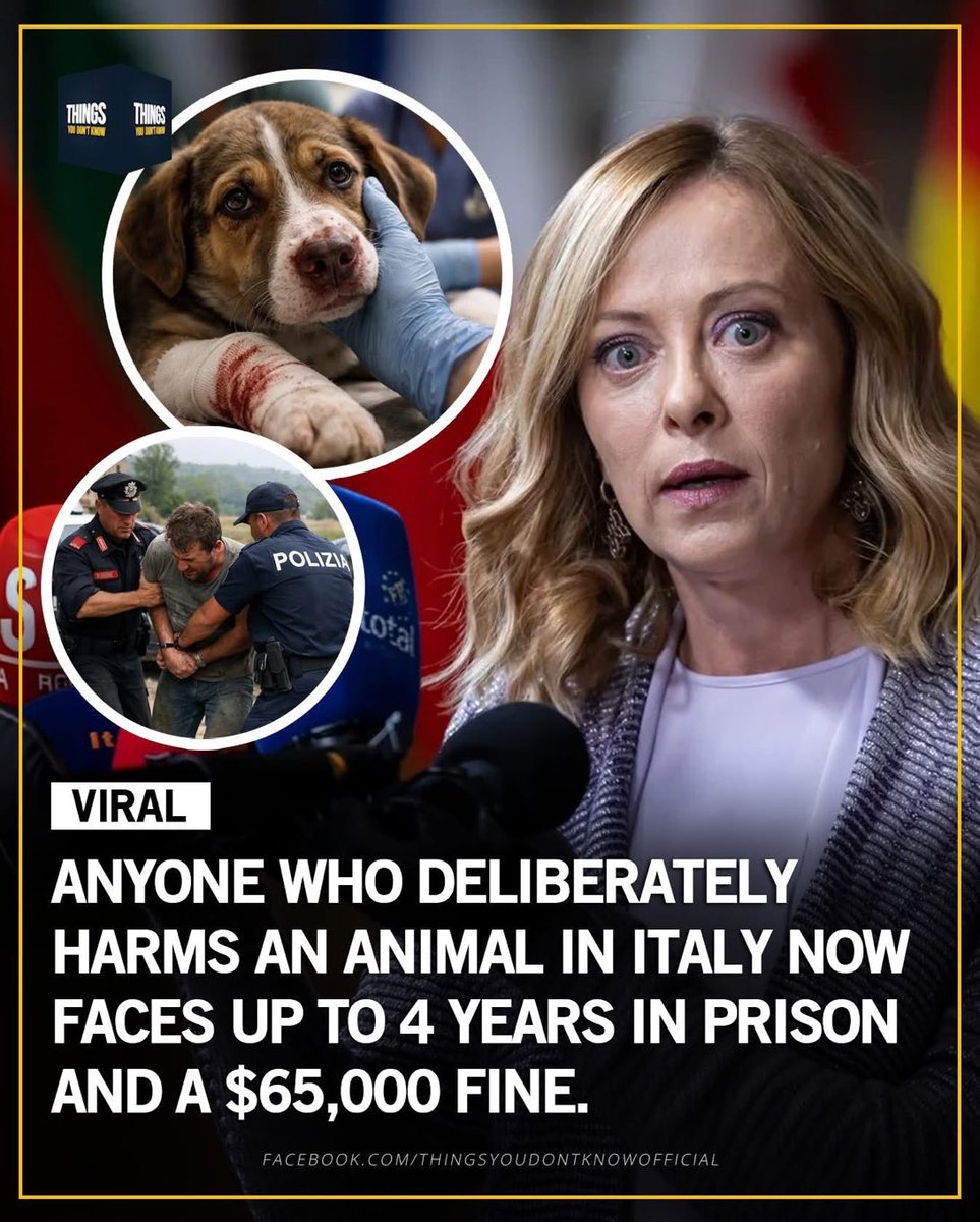 Benonwine tweet media