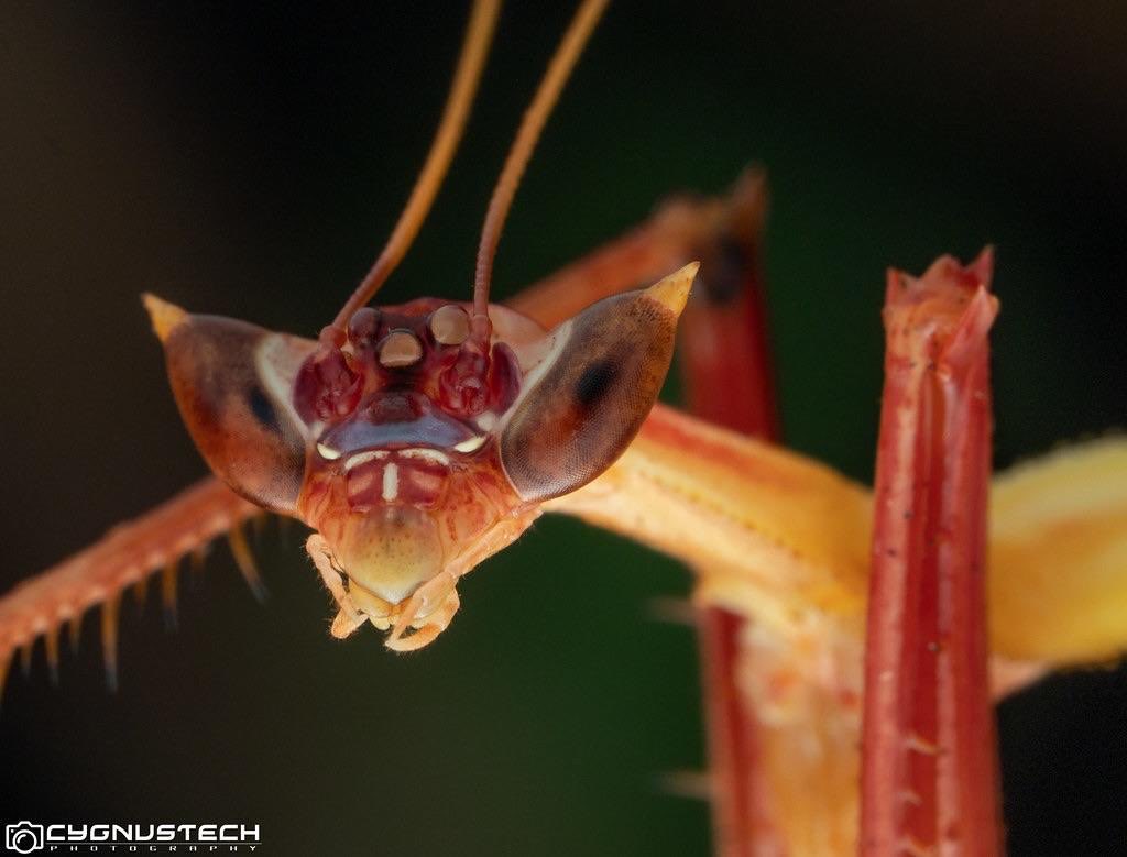 💉 — DOC ✦ MTT’s Co-Star! 💍 tweet media