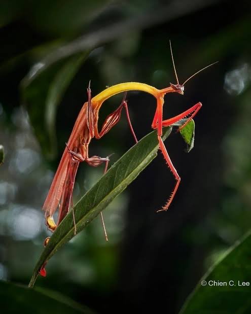 💉 — DOC ✦ MTT’s Co-Star! 💍 tweet media