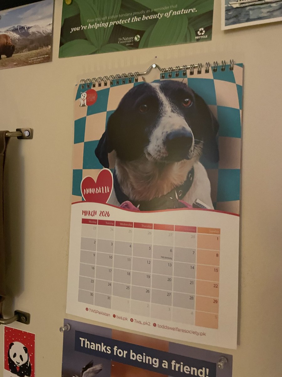 Barnabas Klein tweet media