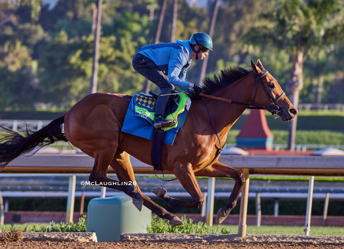 J McLaughlin Safford tweet media