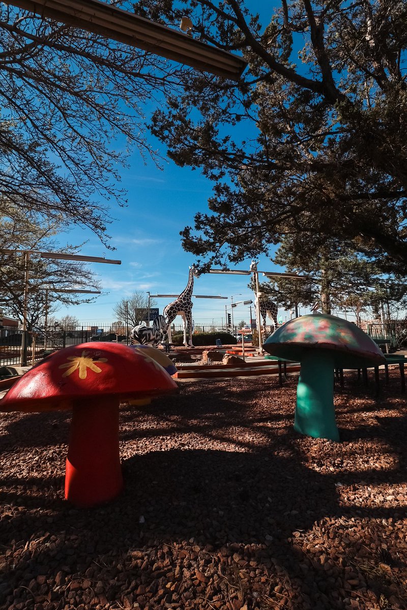 Mayor Tim Keller tweet media