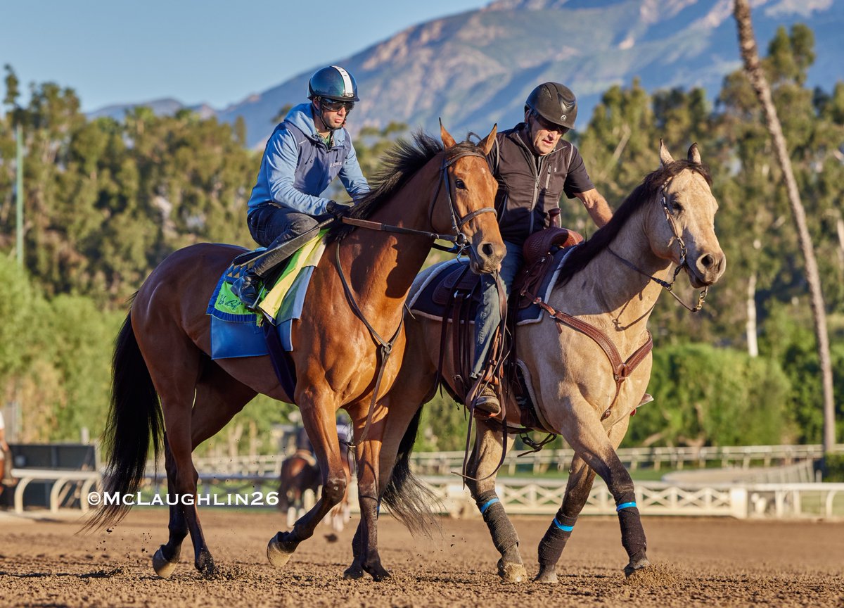 J McLaughlin Safford tweet media