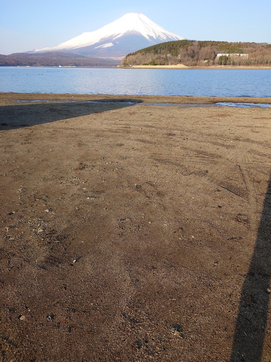 パルメザン tweet media