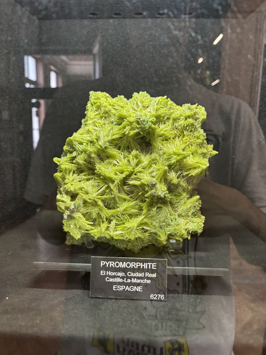 komayto ^^ tweet media