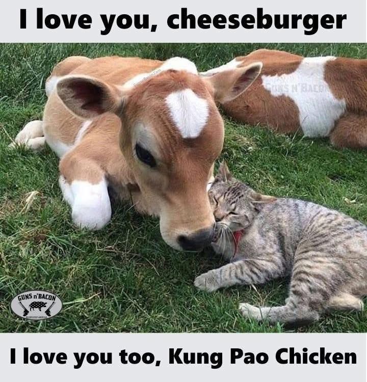 MCDXXVI Forever (@mcdxxvii) on Twitter photo 