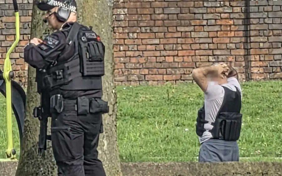 Ian Miles Cheong tweet media