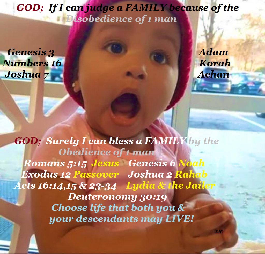 David John Cogger tweet media