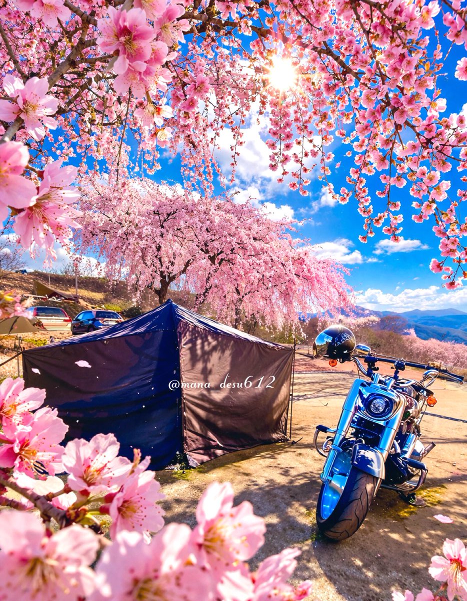 mana_desu612's tweet photo. 🌷🌸🏍

お  は  よ  う  ご  ざ  い  ま  す

ドーはドーナツの土曜日🍩ŧ‹”( ‘ч’ )
本日はベビ👶💕2人つれてドーナツではなくハンバーガー🍔警備行ってきます❣️晴れーざー🌞気持ちいいですね🌷
(/｡'(ｪ)')土曜もよろしクマ🧸🎀

https://t.co/R1fVcrvydM https://t.co/sDaMC00BLM