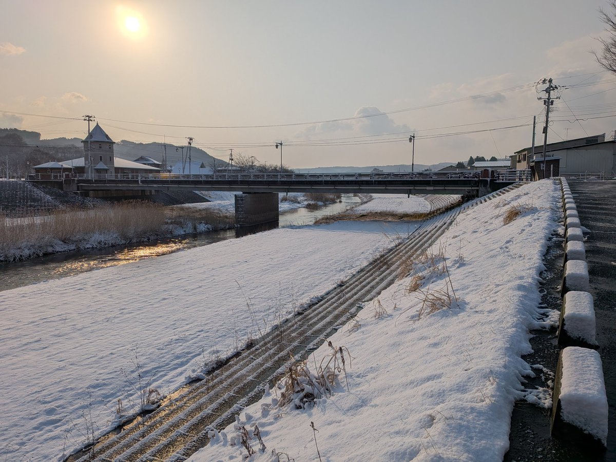 古舘製麺所 tweet media