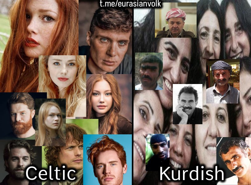 Mu_Scientist🏴☠️🇹🇷🇦🇿🇦🇶☢️🔬 tweet media