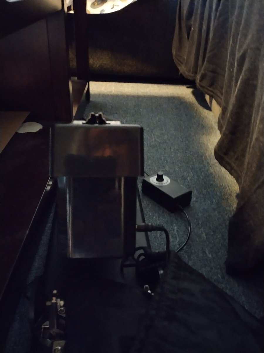 Tiny Bunny🥰 tweet media