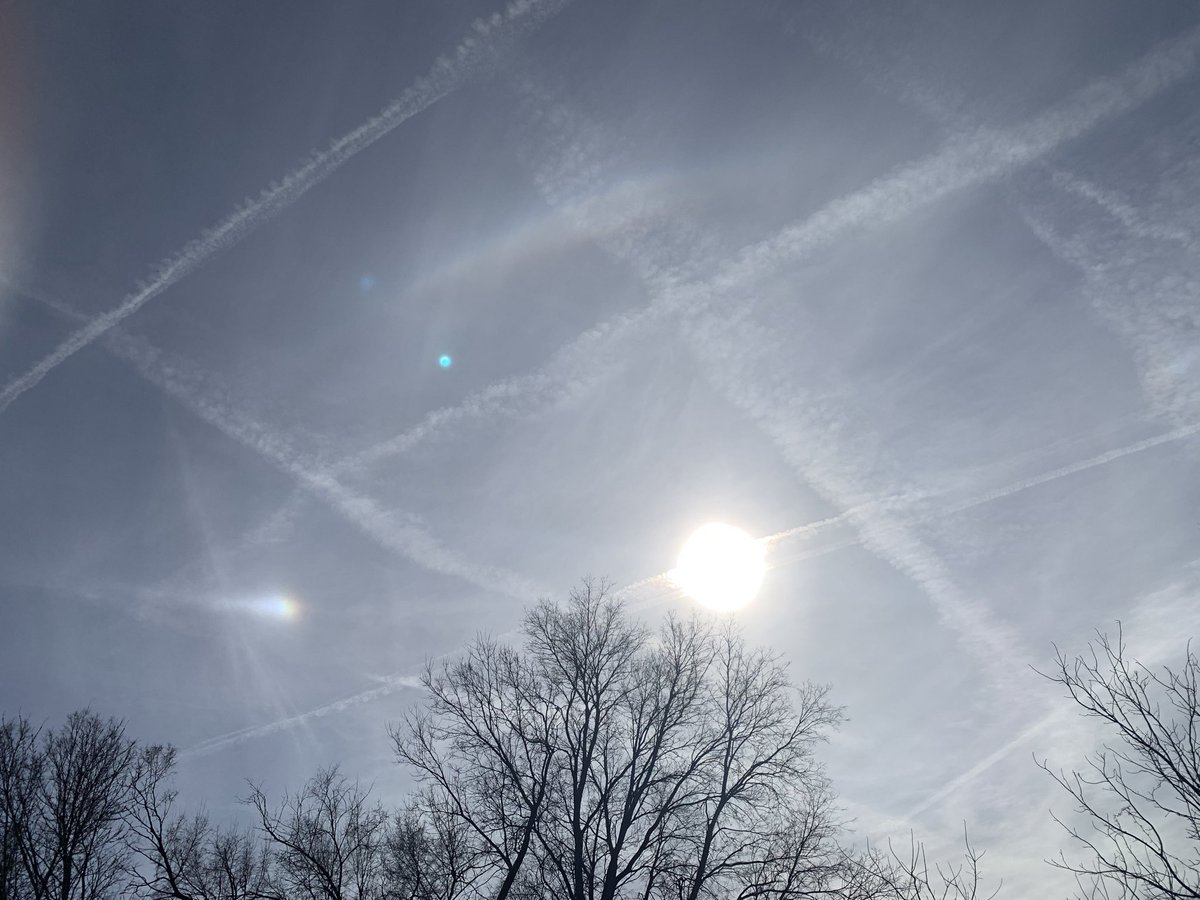 Melissa 🐝 tweet media