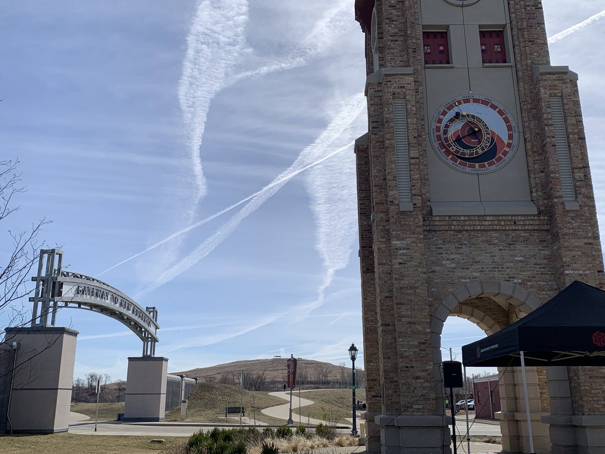 Melissa 🐝 tweet media