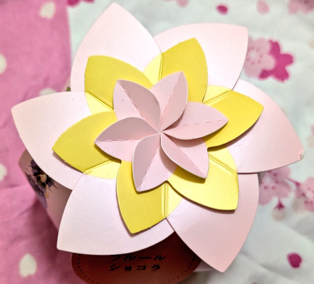 猫はネコ tweet media