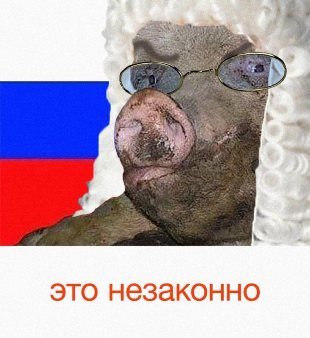 Faktomas tweet media