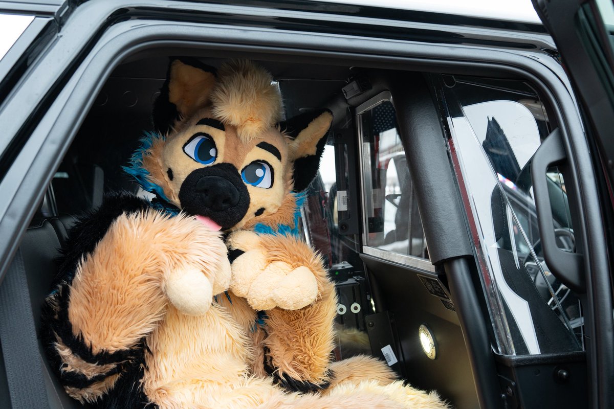 He’s getting taken away for being too puppy 🐶

📸 <a href="/houndsytooth/">HØUNDS</a>