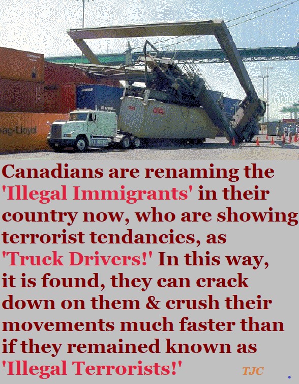 David John Cogger tweet media