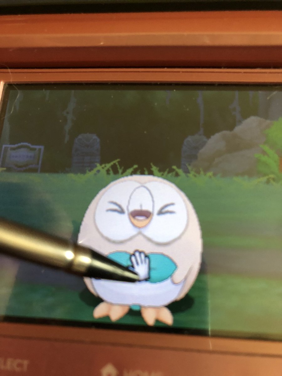 catendo64's tweet photo. new mon💚 what a cutie :,) https://t.co/hHvC8xmAMy