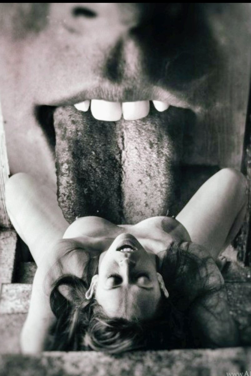 Love&Rockets tweet media