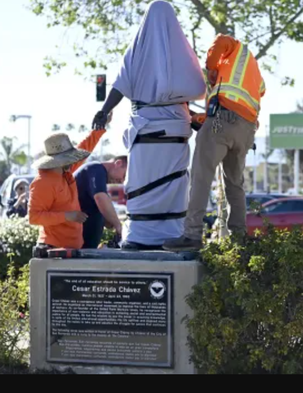 Robert Dyer tweet media