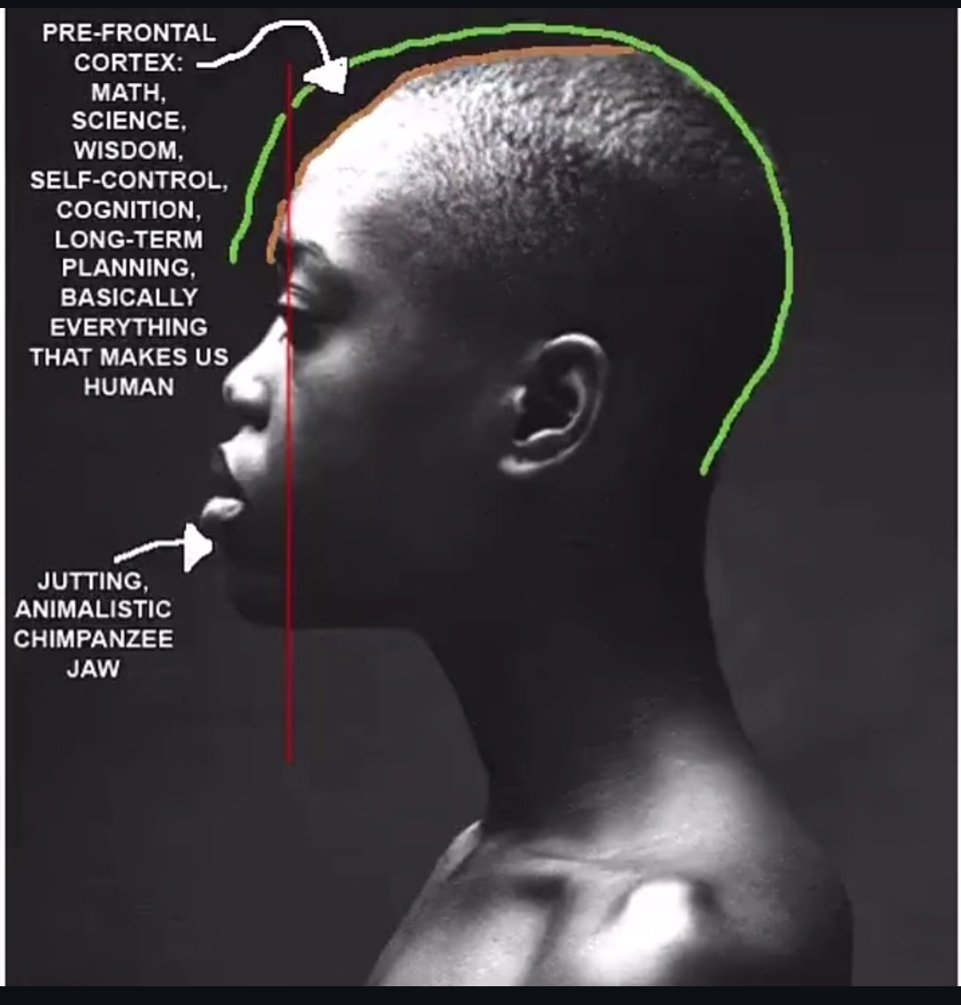 Leopard 2a7 tweet media