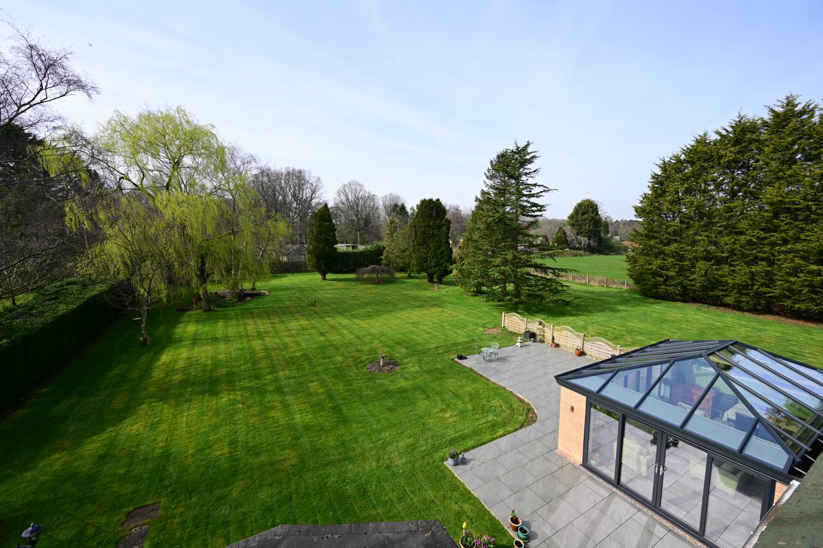 Dave Tonge tweet media