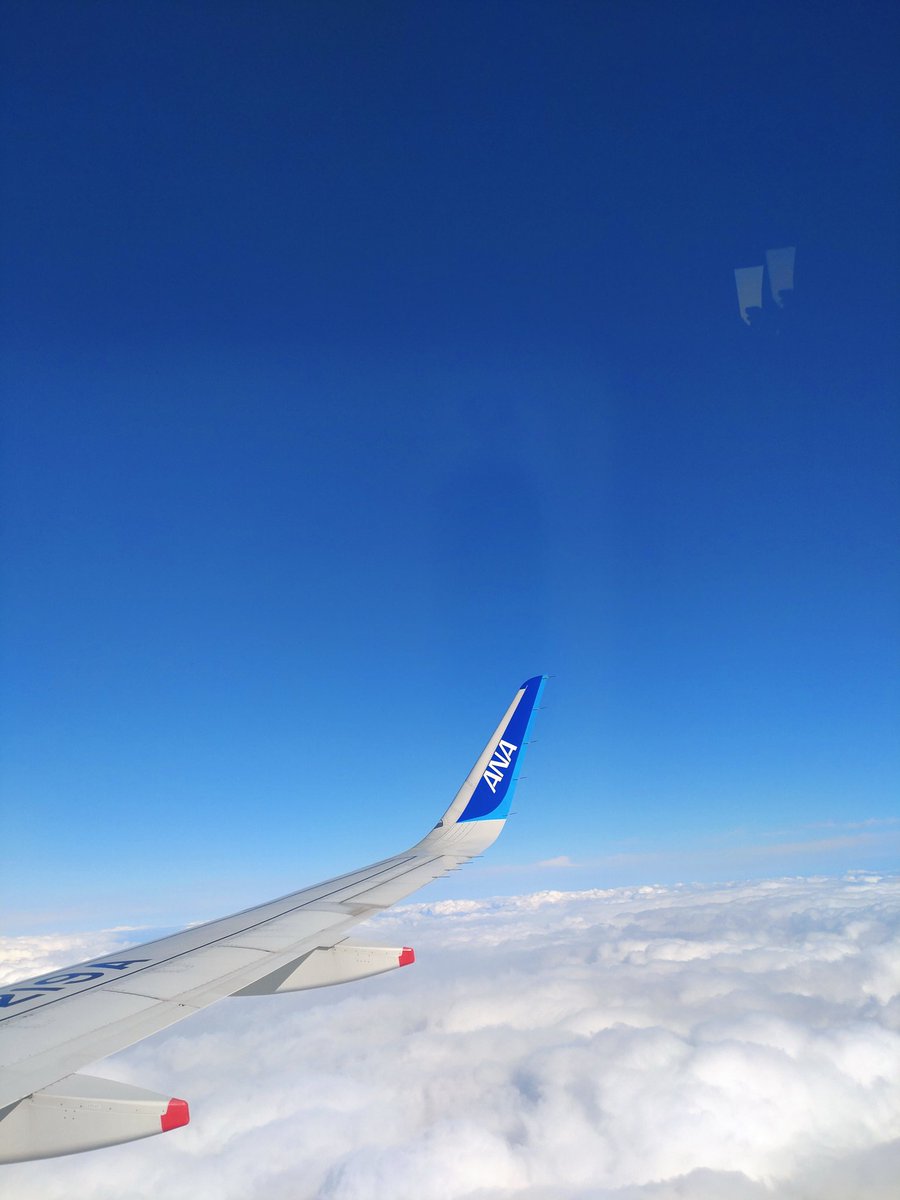 おはよー
昨日は結局雨じゃったね🌧️今朝はもう青が広がってます☀️お天道さんありがとー🎶
今日も元気いっぱい行きますか💨笑顔で楽しい1日にしてこ😄みんなも笑顔のええ1日を〜✨