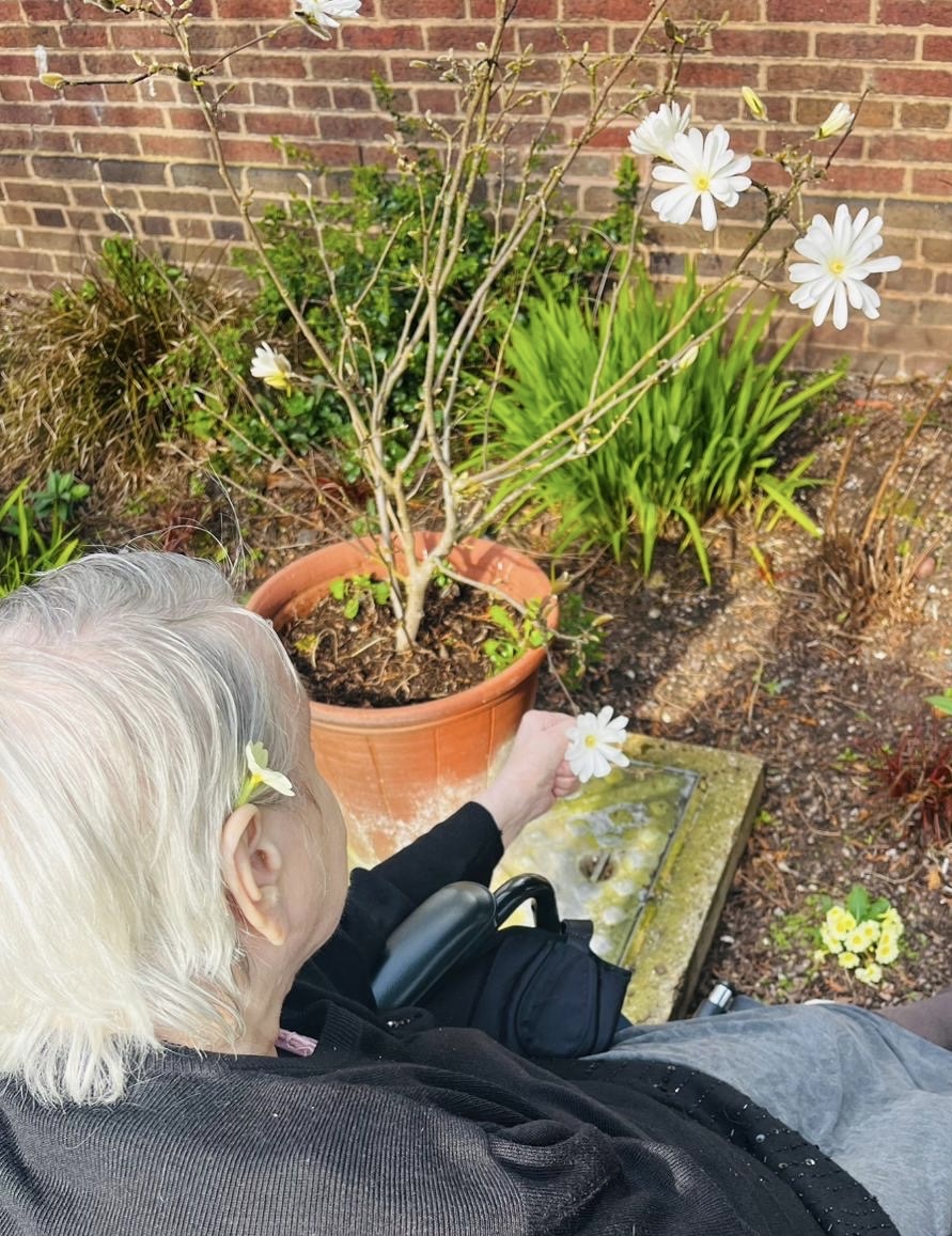 Cedar Court Nursing Home tweet media