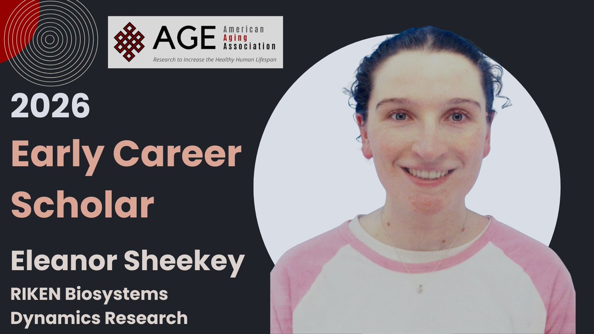 American Aging Association tweet media