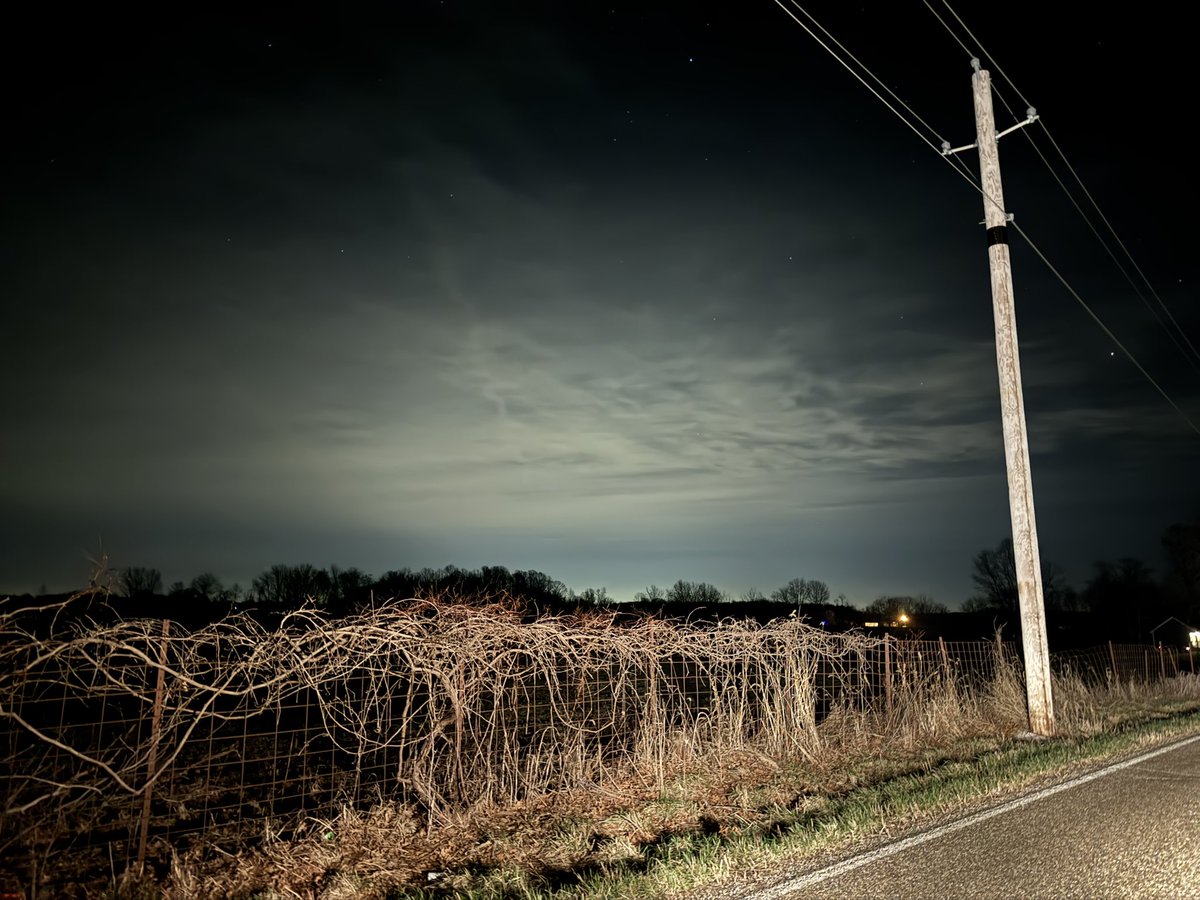 Messenger tweet media