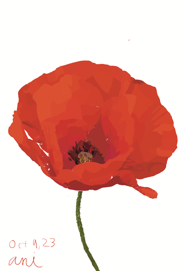 Mark Wright tweet media