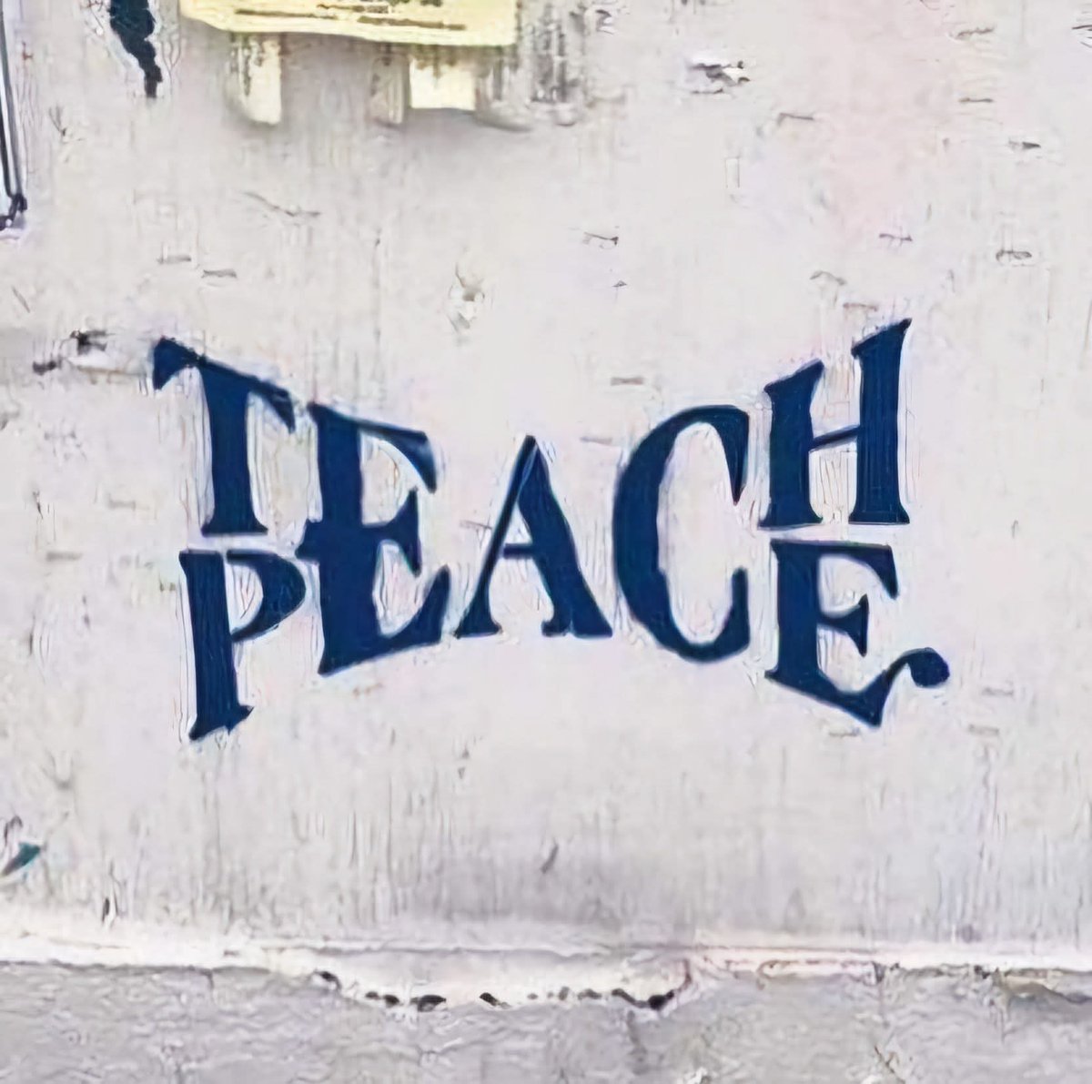 Kitty Schmidt tweet media