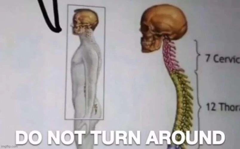 solis!! 💫🍉 tweet media