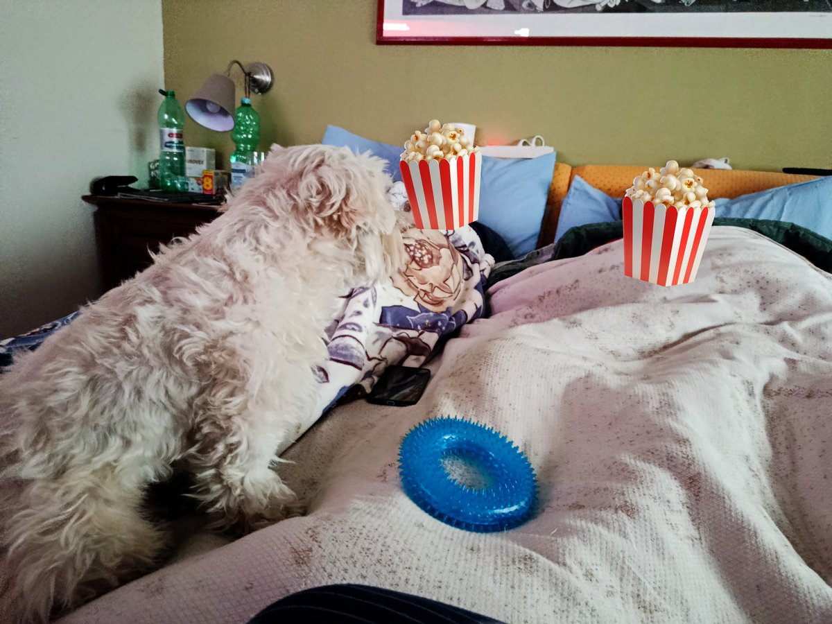 KIDDO・ tweet media