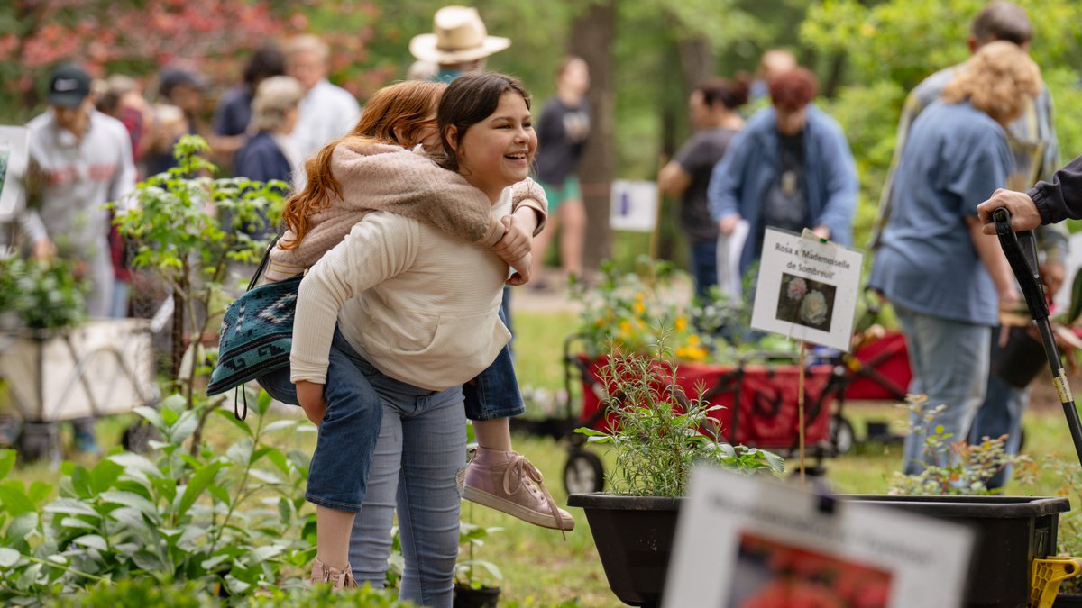 Stephen F. Austin State University tweet media