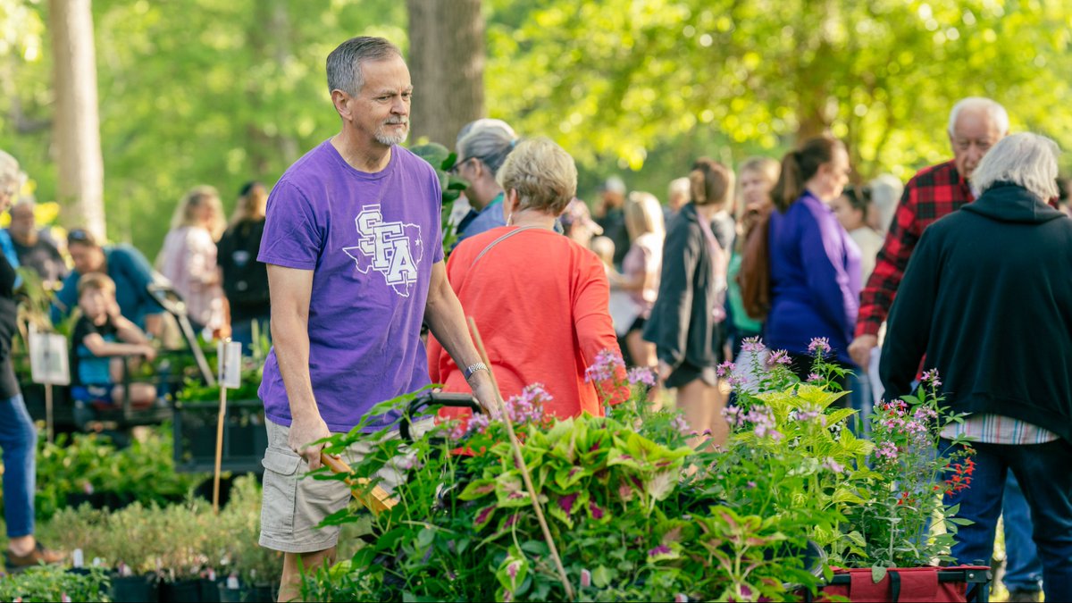 Stephen F. Austin State University tweet media