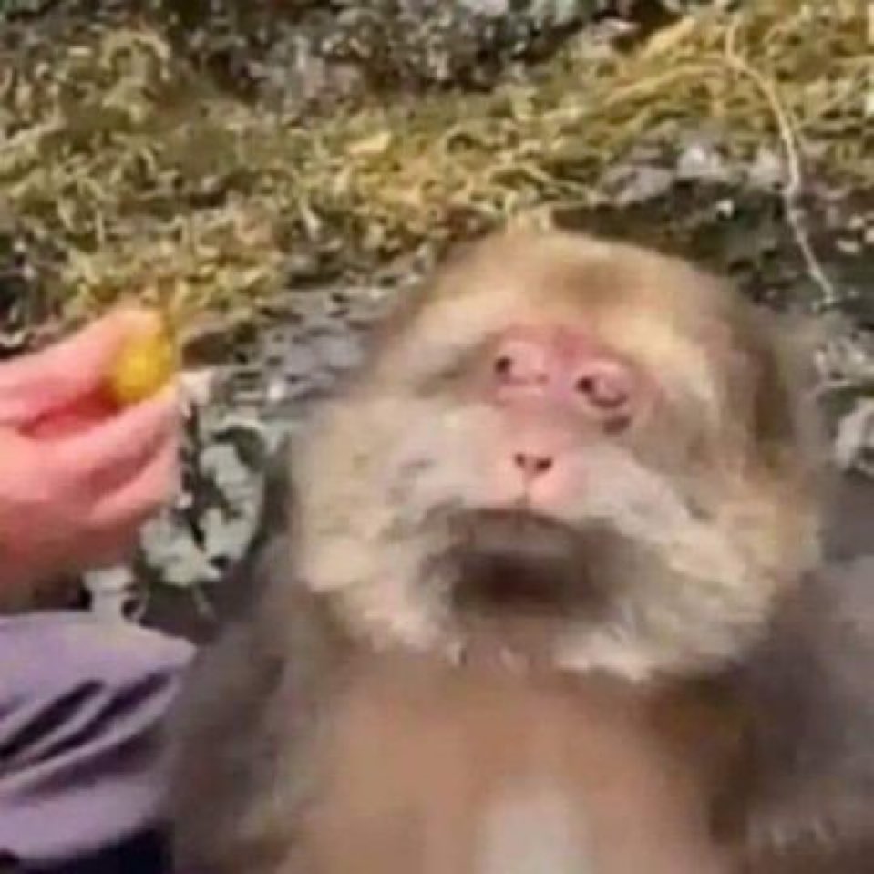 pepsico⋆𓄂𖦹 tweet media