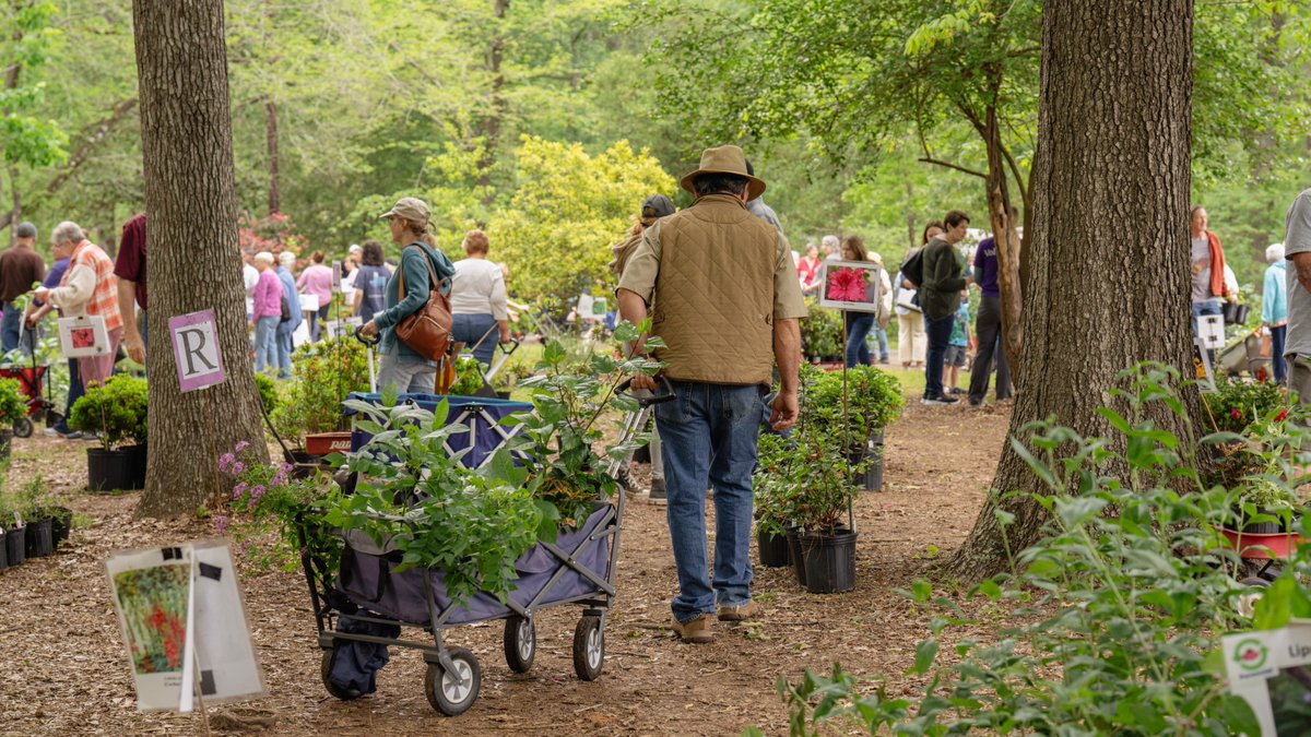 Stephen F. Austin State University tweet media