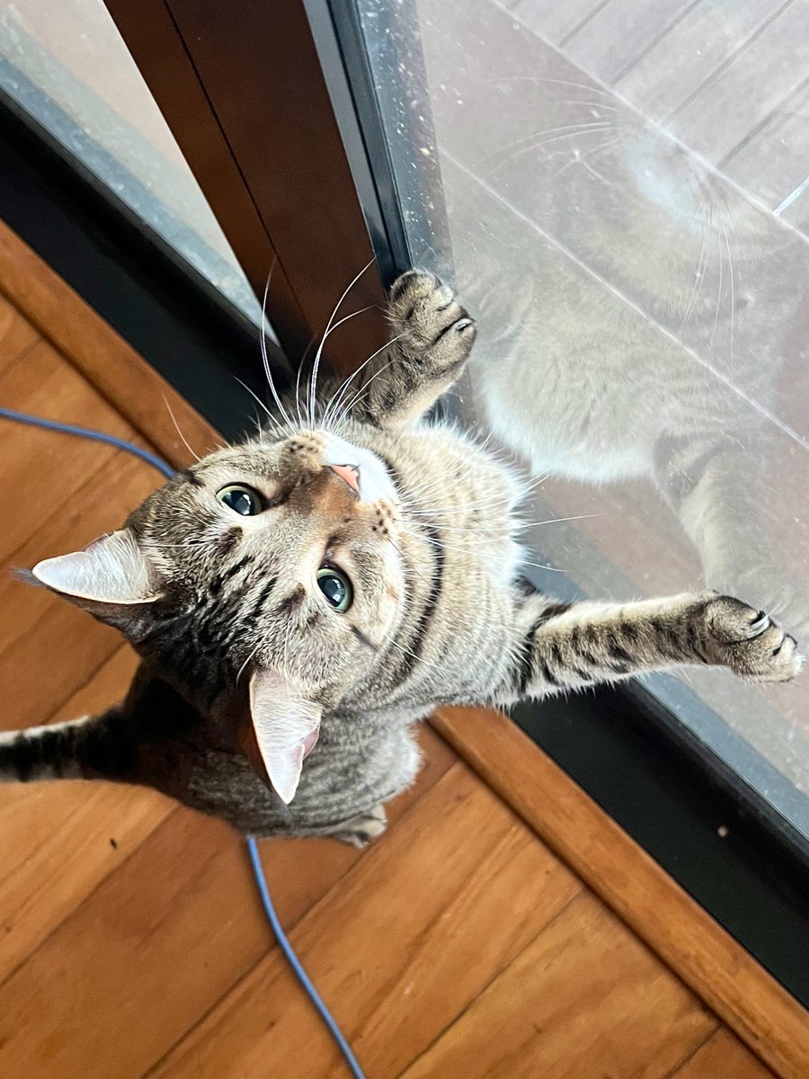 Dave Krantz tweet media