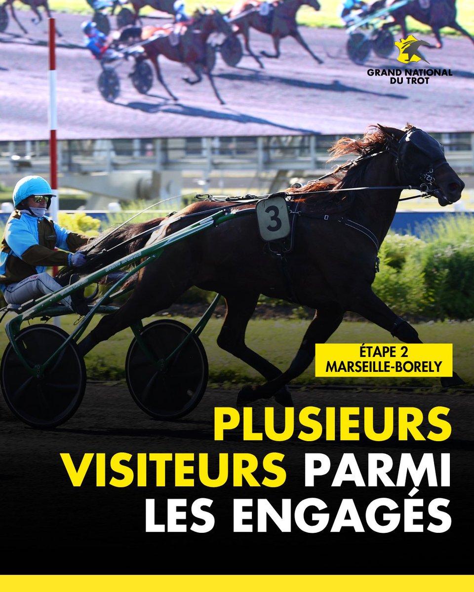 Trotteur Français tweet media