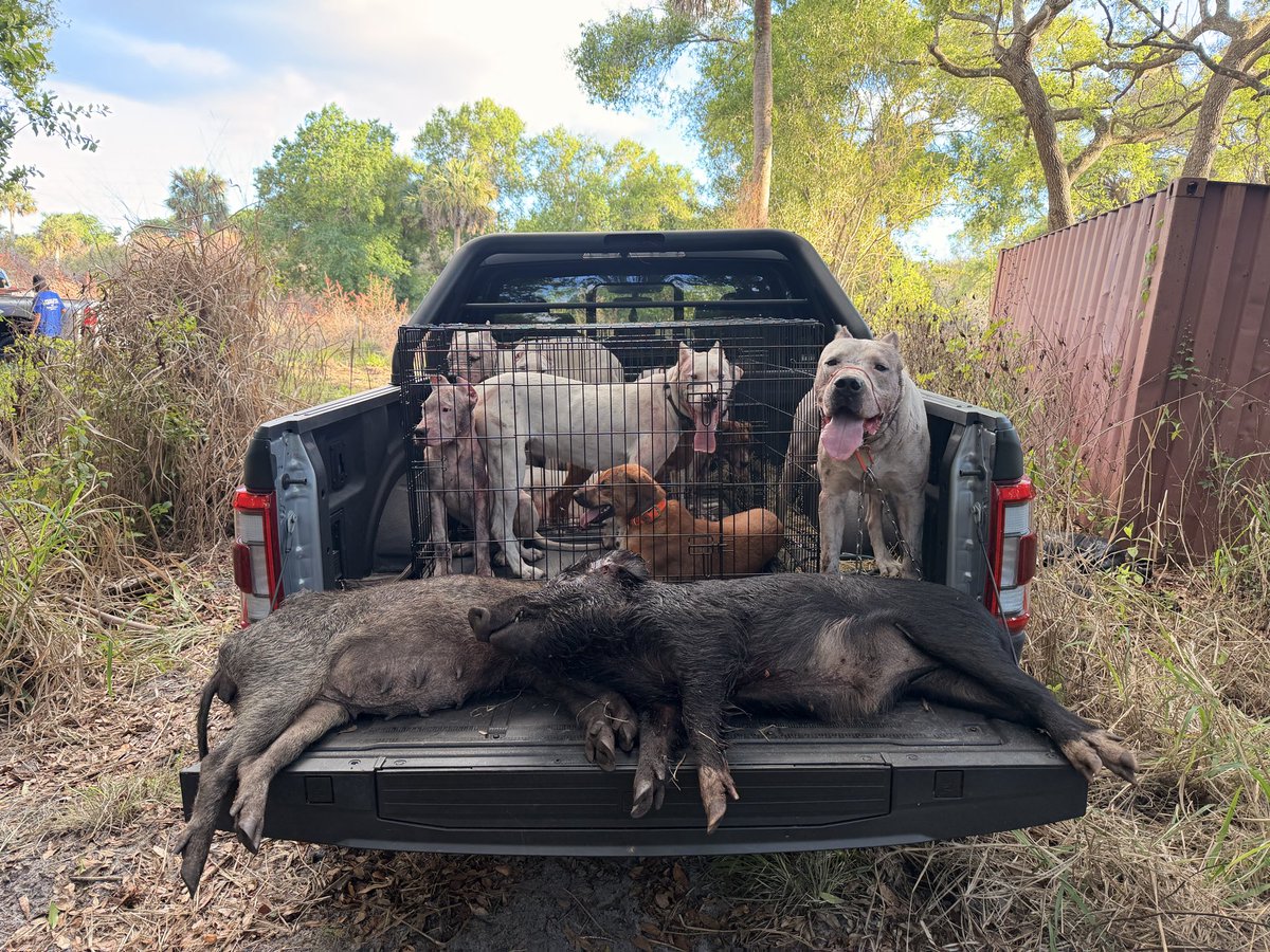 Emiliano Sordi tweet media