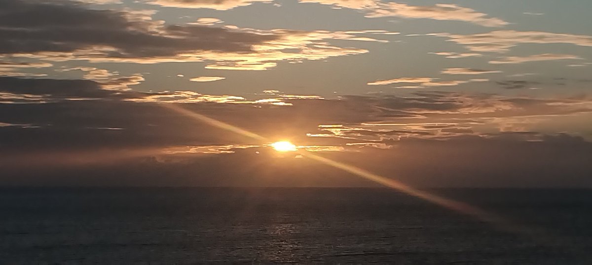 José Antonio tweet media