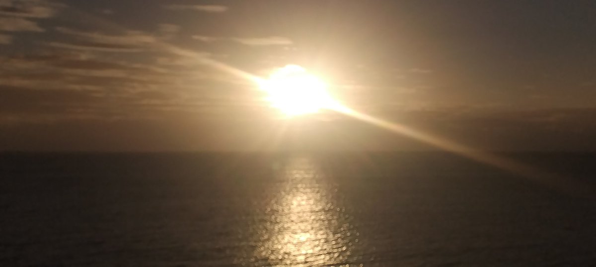 José Antonio tweet media