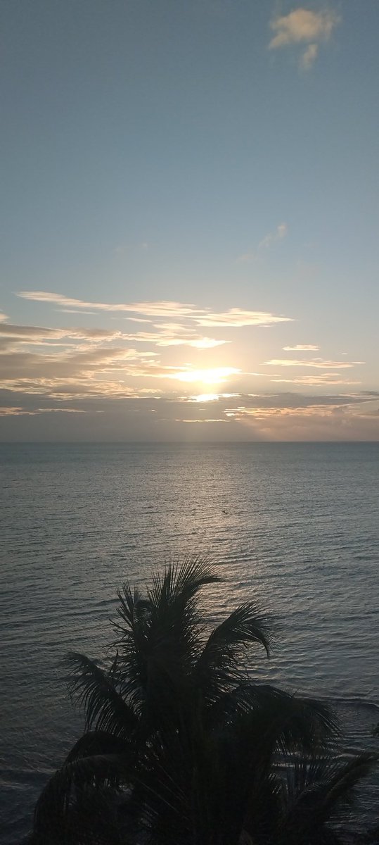 José Antonio tweet media